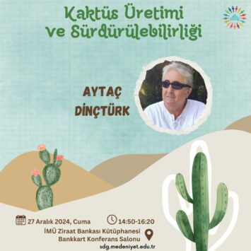 Kaktüs Üretimi ve Sürdürülebilirliği