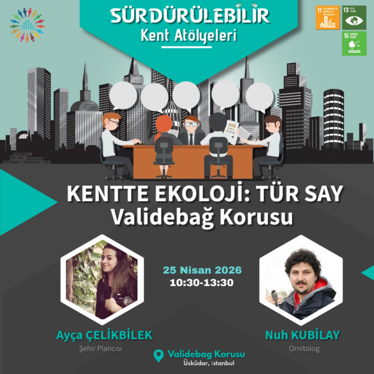 BioBlitzİMÜ: Validebağ Korusu Bahar Gözlemi